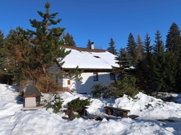 Ein Haus mit schneebedecktem Dach, umgeben von immergrünen Bäumen und einer verschneiten Fläche.