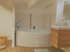 Shower, hair dryer, toilet paper