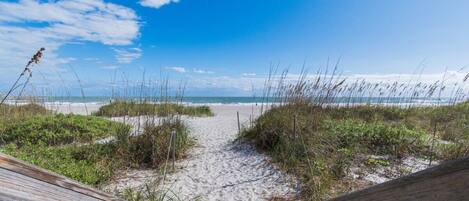 بالقرب من الشاطئ