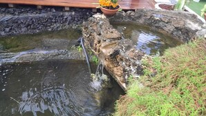 Un pequeño estanque con una plataforma de madera y una cama, rodeado de rocas y plantas.