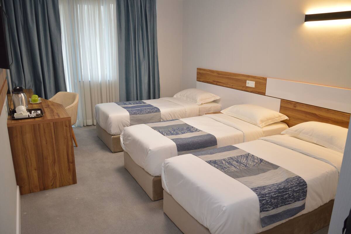 Deluxe Triple Room | Premium bedding, down comforters, minibar, in-room safe