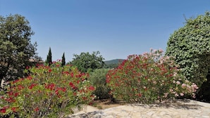 Un chemin de pierres qui traverse un jardin où poussent des plantes à fleurs rouges et roses.
