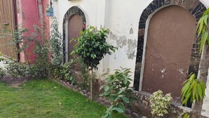 Ein kleiner, privater Garten mit einem gepflegten Rasen, einem Kiesweg und verschiedenen Pflanzen.