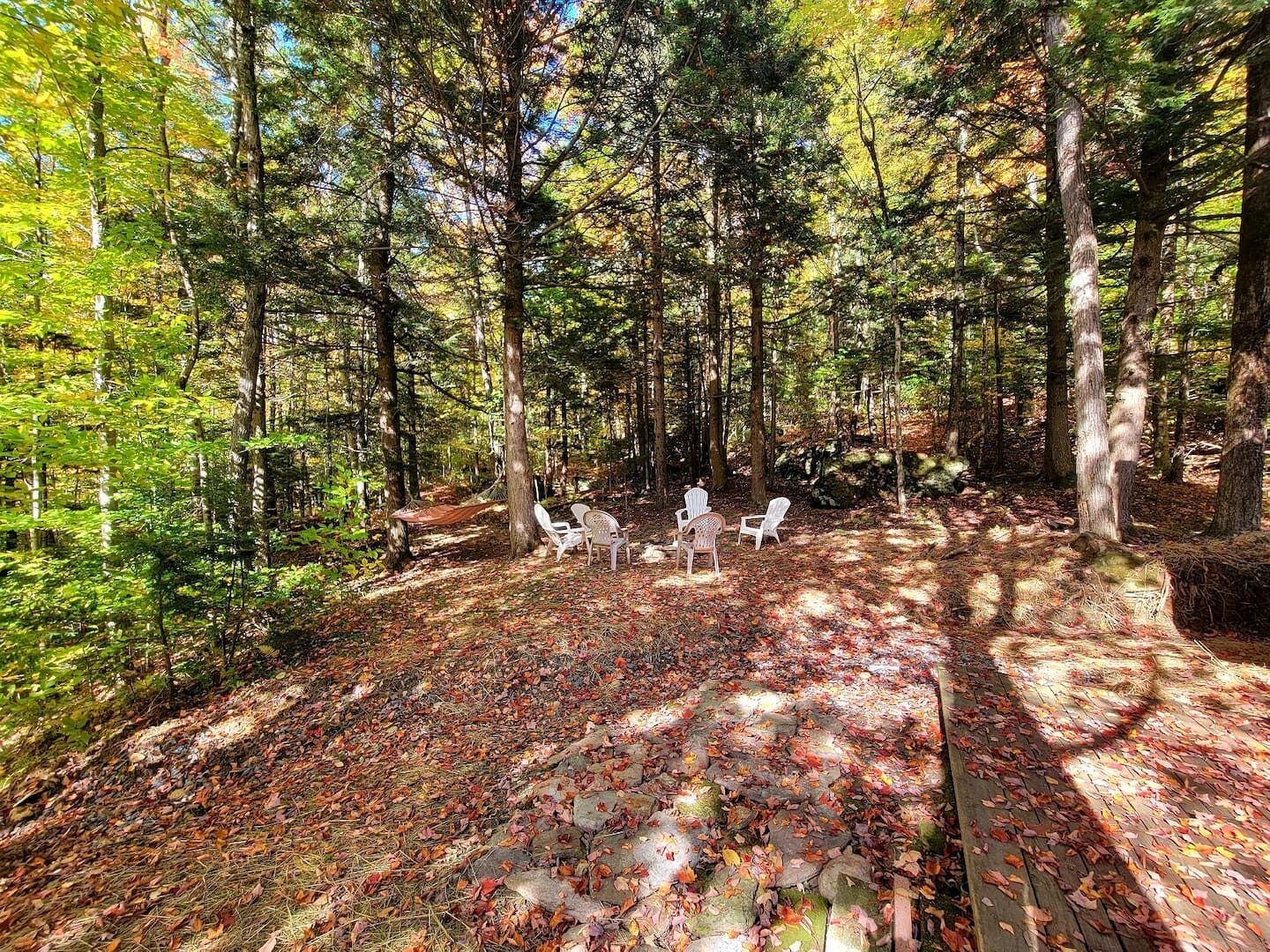 Metsäinen alue, jossa on puinen terassi, valkoiset tuolit ja riippumatto.