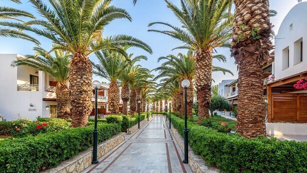 A pathway lined with palm trees and stone walls, leading to a building with balconies and a white facade. - Annabelle Beach Resort (Hersonnisos, Crete)