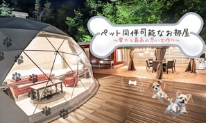 客房, 非吸煙房 (Sun) | 羽絨被、免費 Wi-Fi