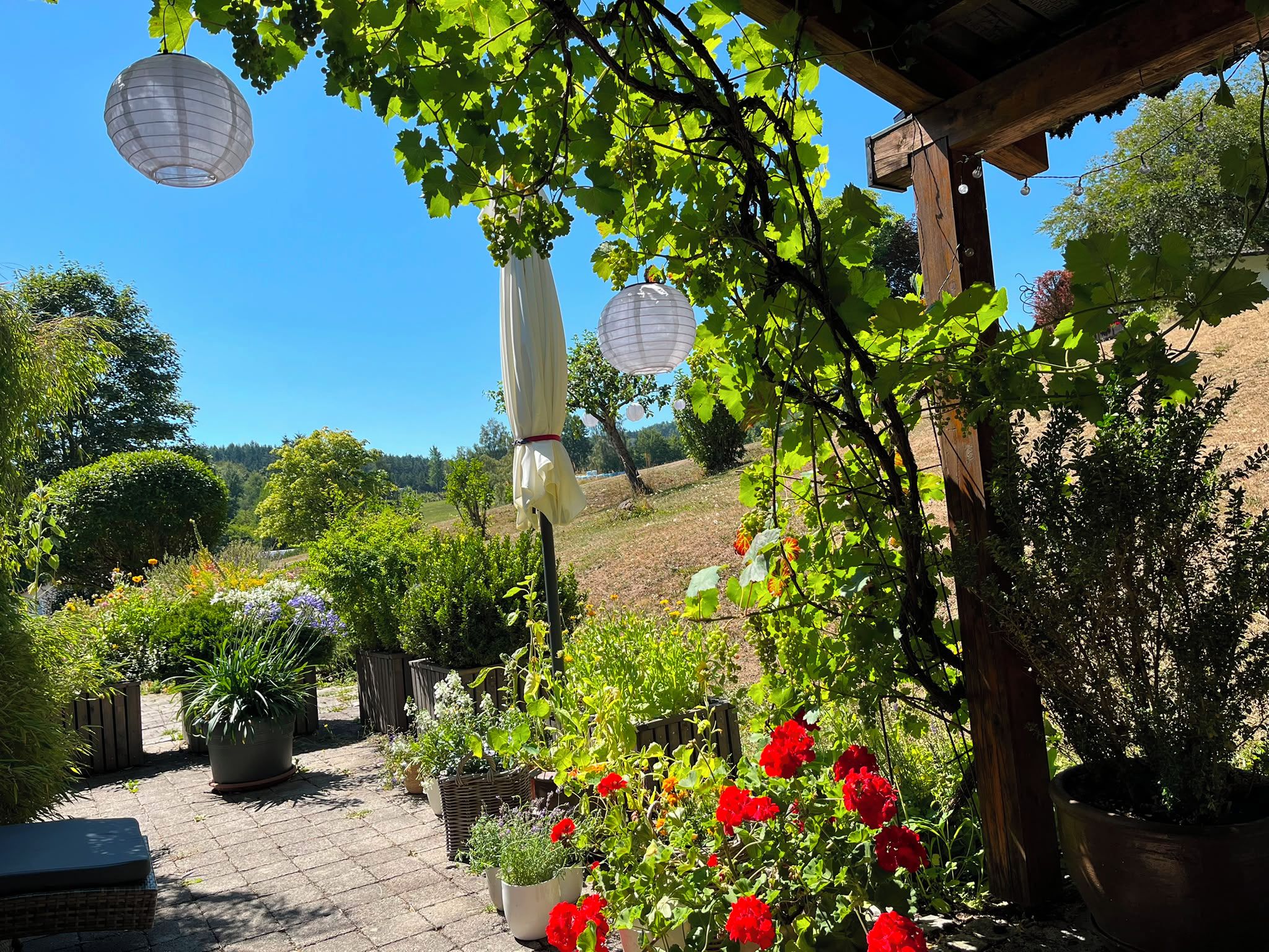 Ein Garten mit Kübelpflanzen, ein mit Laternen geschmückter Pergola und Blick auf eine Hügelkette.
