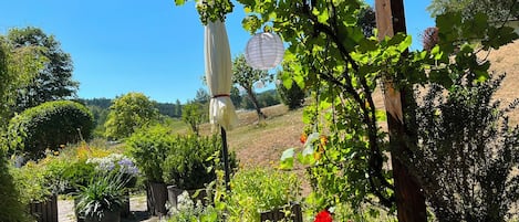 Un jardín con plantas en macetas, una pérgola con faroles colgantes y vistas a una colina.