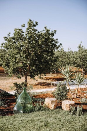 Exterior - Villa Sardella (Monopoli)