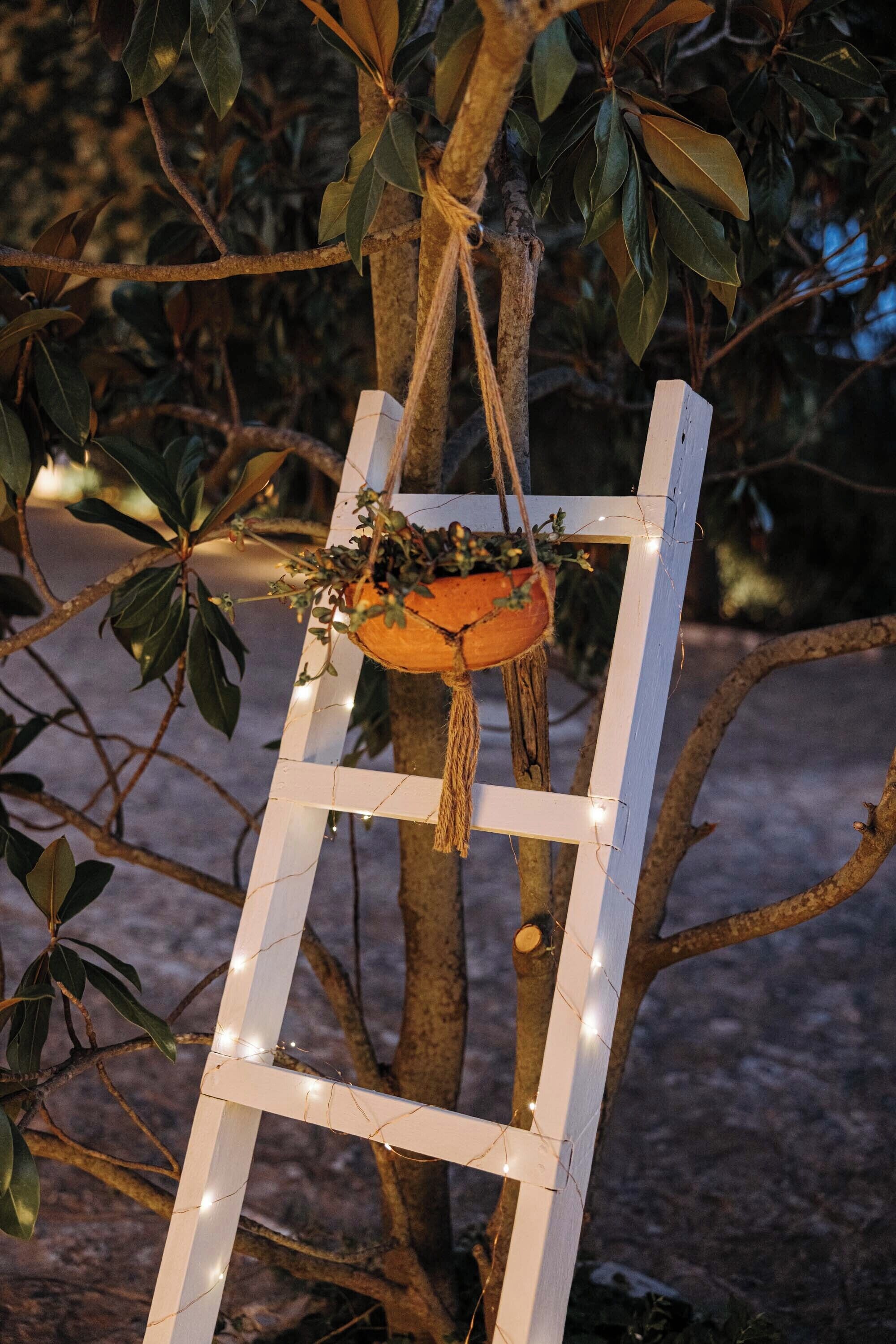A white wooden ladder with lights, a hanging planter with greenery, and a tree trunk.