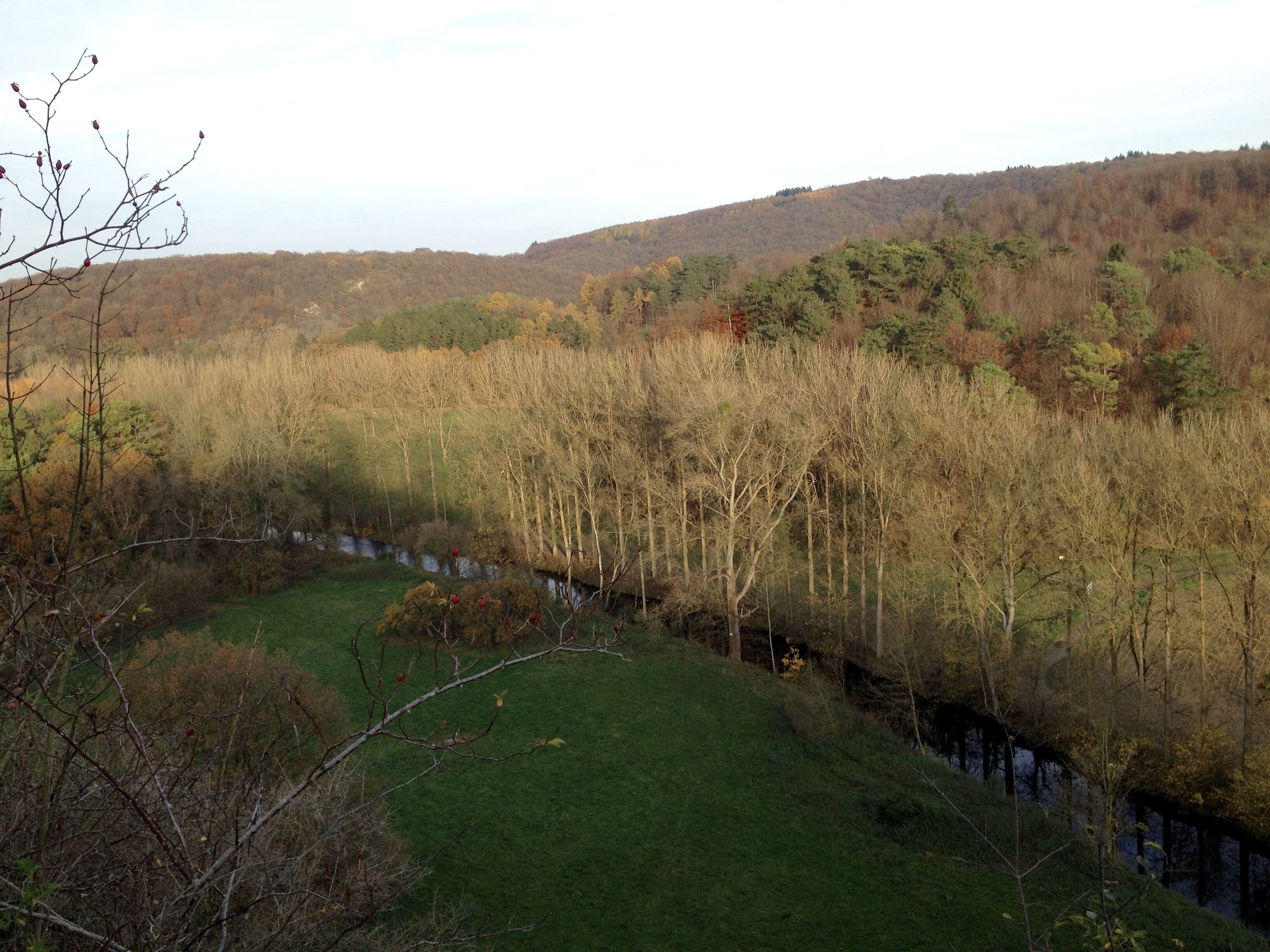 A natural landscape with a grassy area, a small stream, and trees in various stages of foliage.