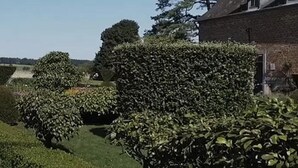 A well-maintained hedge garden with a paved path. - A peaceful night's sleep at La Chapelle (Rochefort)