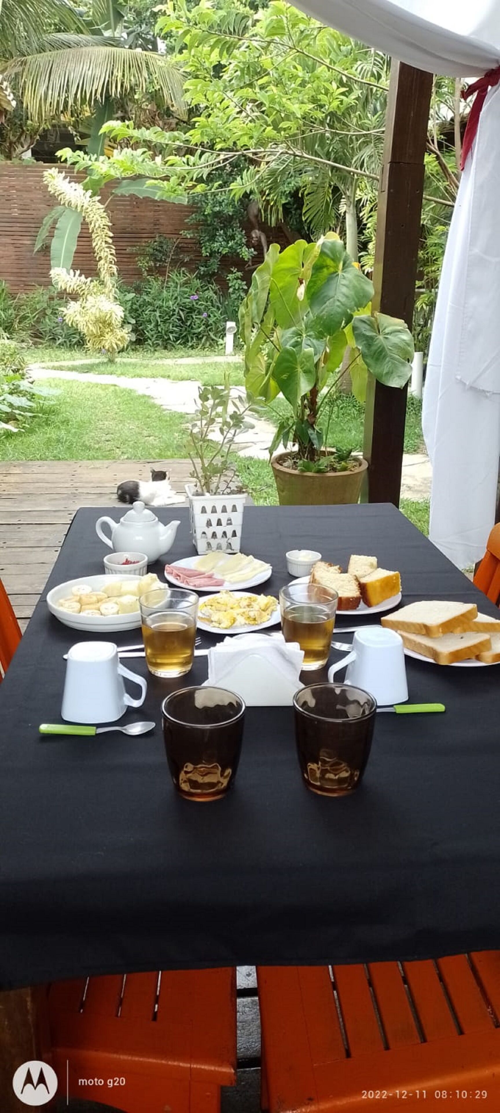 An outdoor dining table with food and drinks, surrounded by greenery and a white tent.