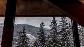 A view through a window of snow-covered trees and a mountain. - Hotel Cindrel (Sibiu)