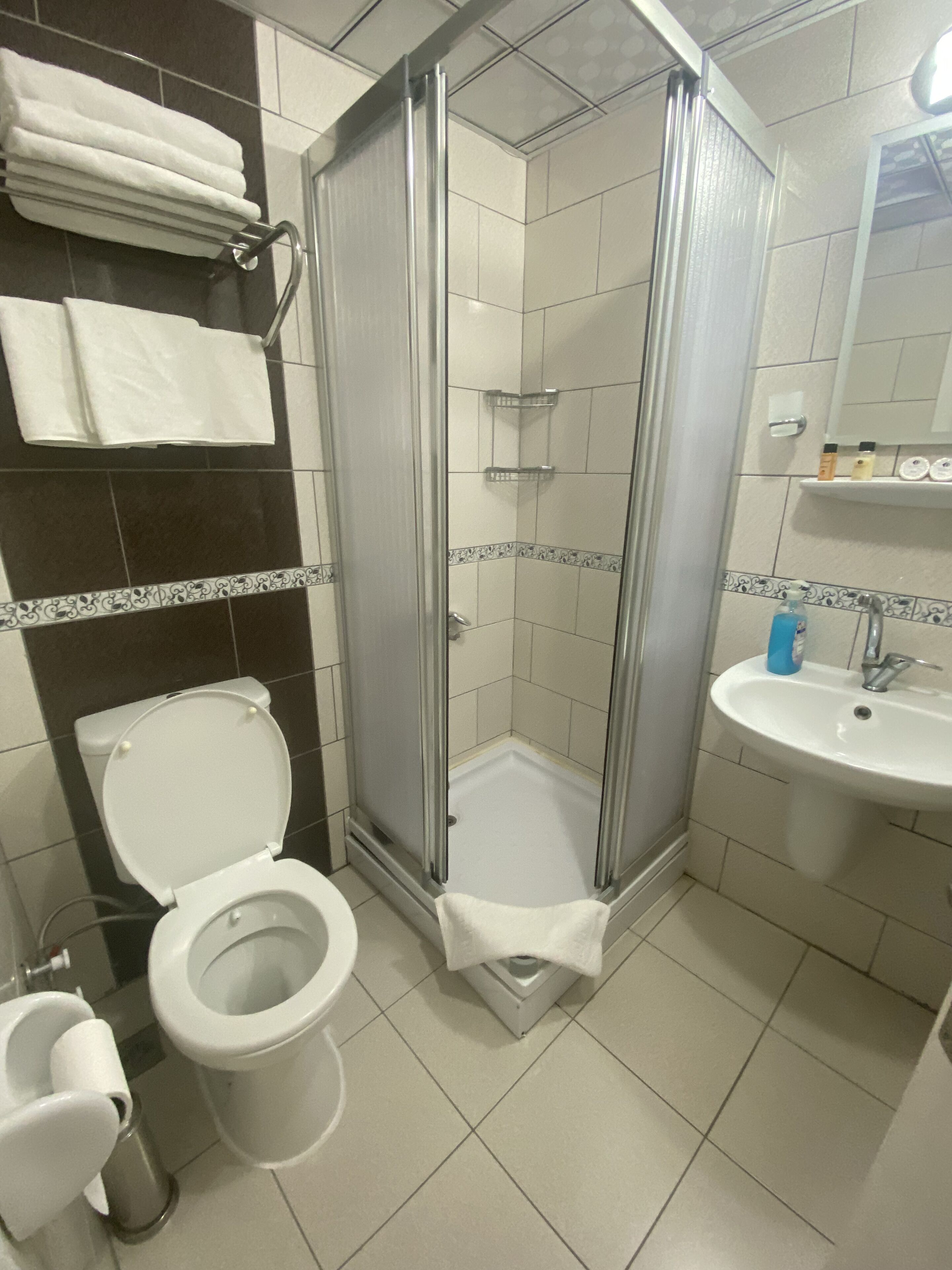 A bathroom with a toilet, shower, sink, and towel rack.