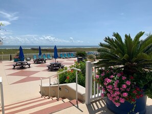 Property grounds - Open Airy Beautiful - Ocean AND Bay Views! (Galveston)