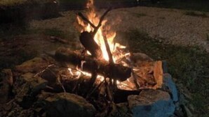 A campfire with logs and rocks, surrounded by a grassy area with a small shed in the background.