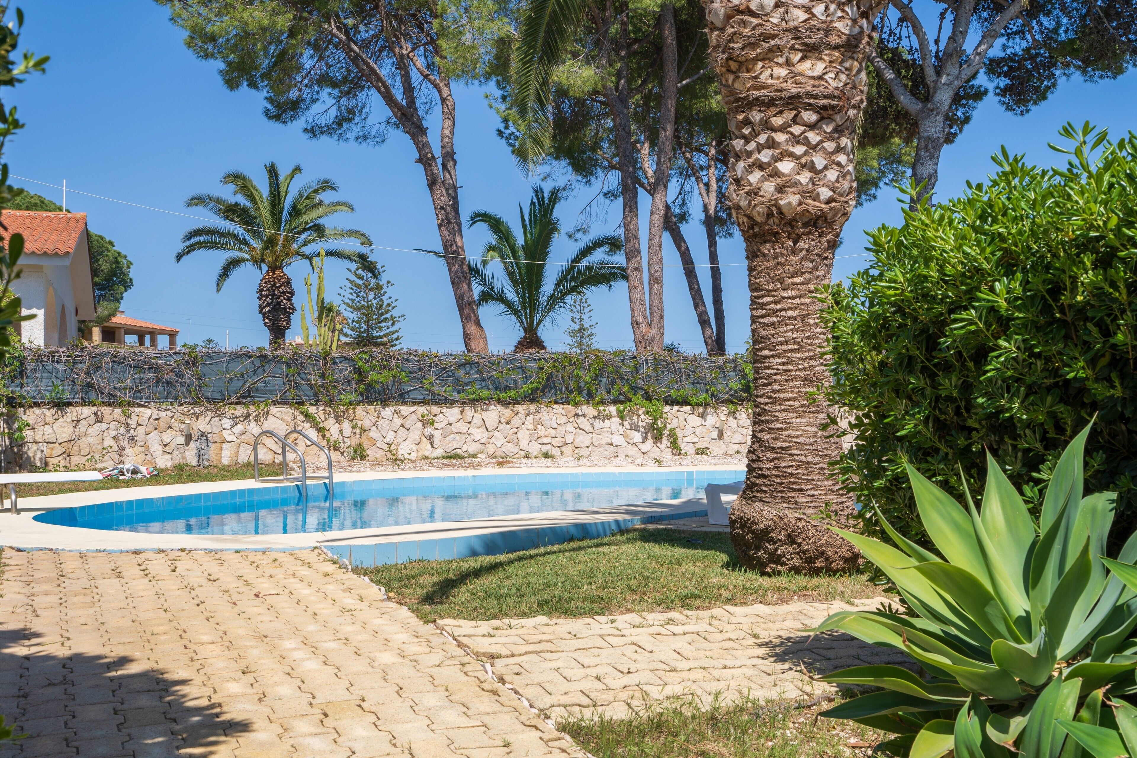 A swimming pool with a stone wall, palm trees, and a building in the background.