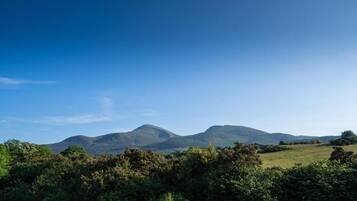 A mountainous landscape with lush greenery and clear blue sky.