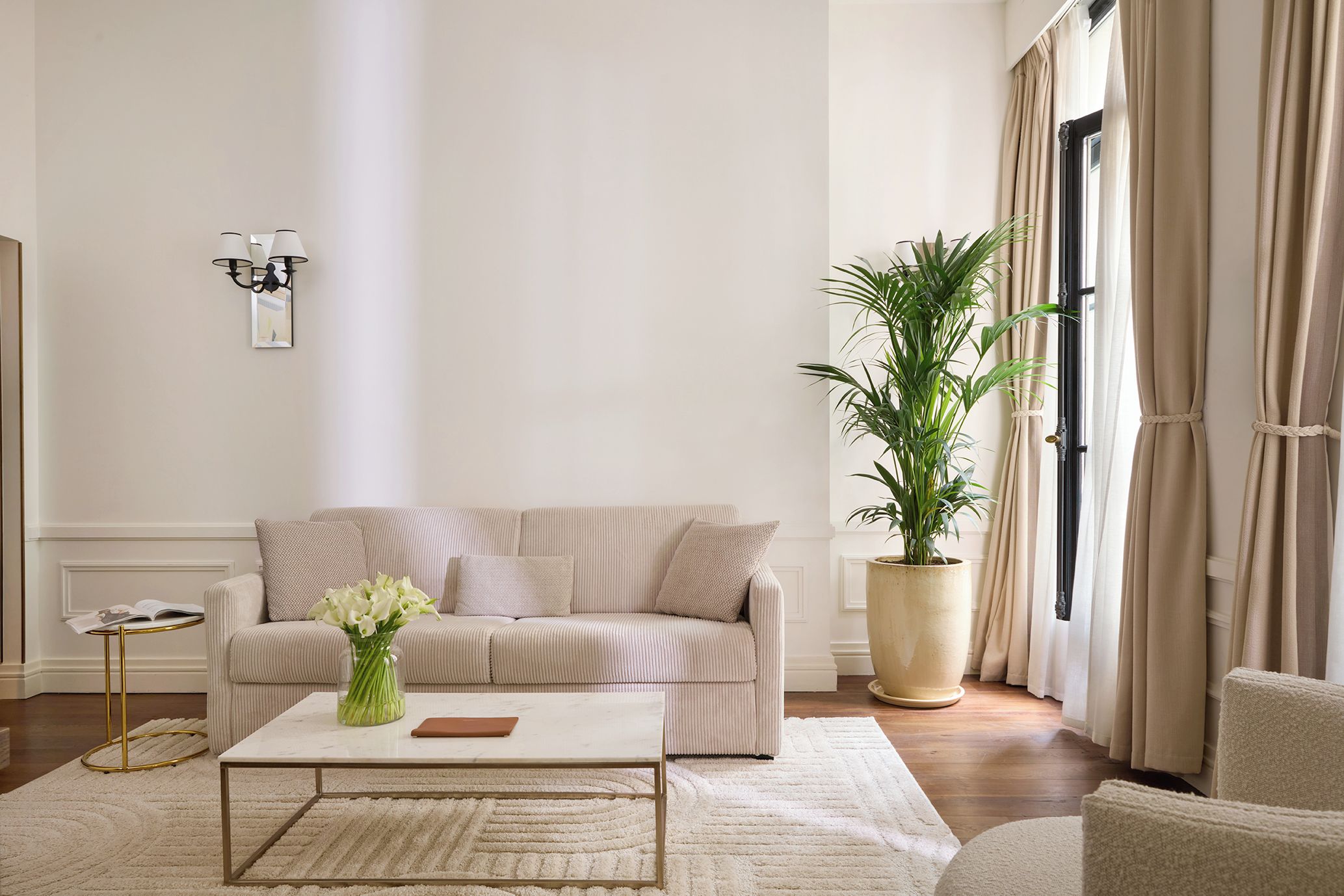 A living room with a sofa, coffee table, and a large potted plant.