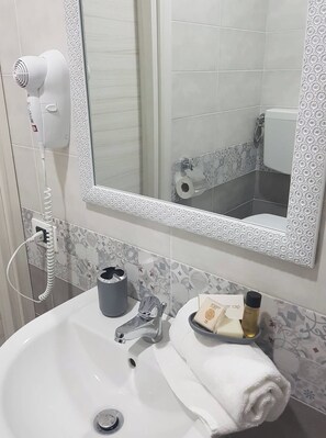 Shower, hair dryer, bidet, towels