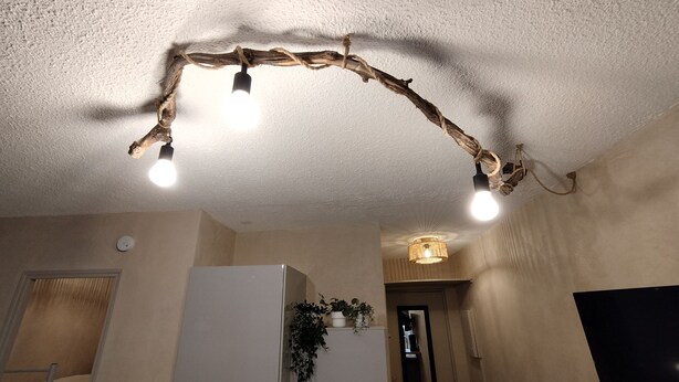 A ceiling with a rustic branch light fixture and a wall-mounted plant. - Air-conditioned apartment 3 minutes' walk from the beach and shops (Bormes-les-Mimosas)