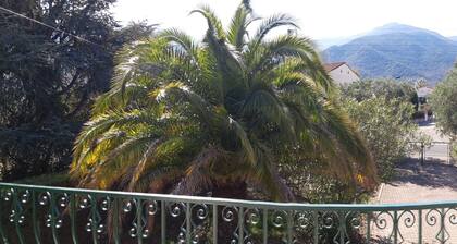 Grande villa avec jardin au calme et au pied des AlbĂšres