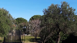 Un espacio al aire libre cubierto de césped, con un trampolín, árboles y plantas con flores.