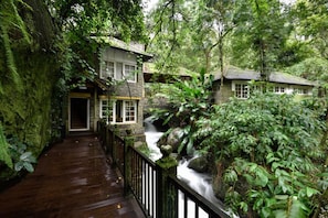 A wooden pathway leading to a building surrounded by lush greenery and a waterfall.