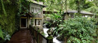 Mystic Mayapott Thekkady