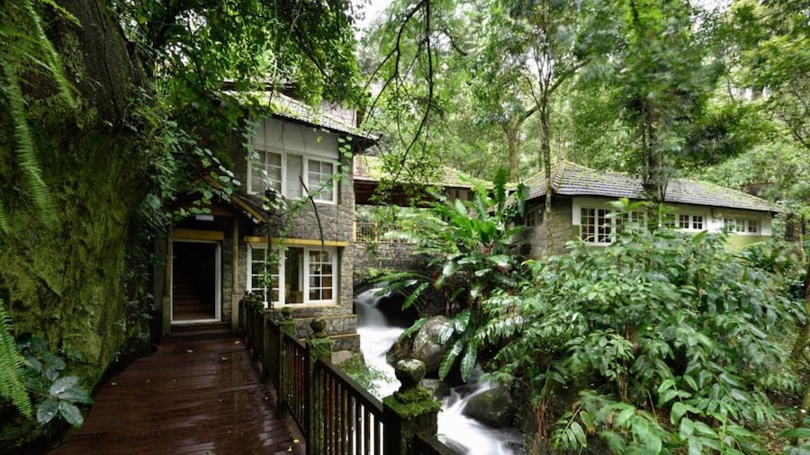 Mystic Mayapott Thekkady