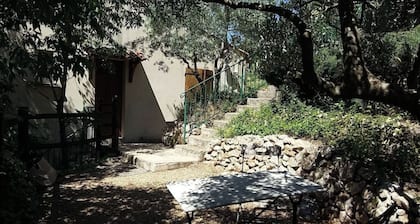 Recent house with private swimming pool, quality services.