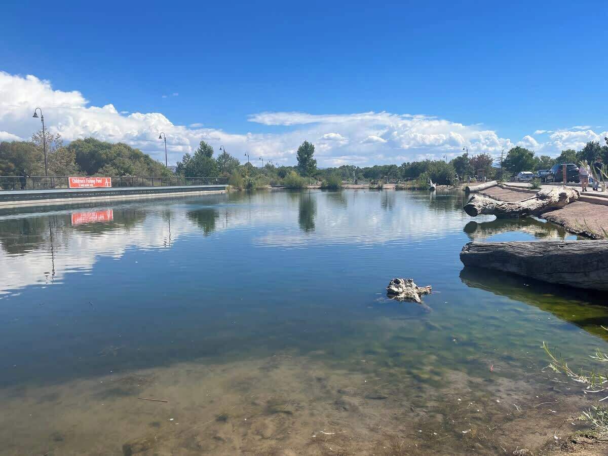 Un lago tranquilo con aguas cristalinas, rodeado de árboles y un terreno rocoso.
