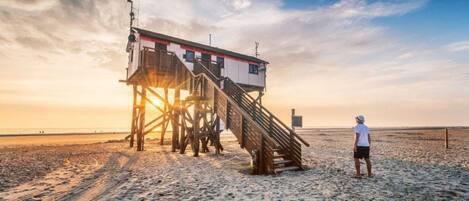 بالقرب من الشاطئ