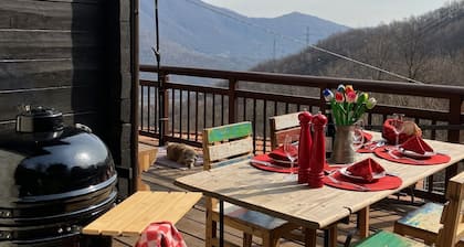 Luxury Restored Swiss Chalet, air conditioning, hidden above Lago Maggoire