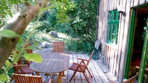 A wooden deck with a round table and chairs, surrounded by greenery.