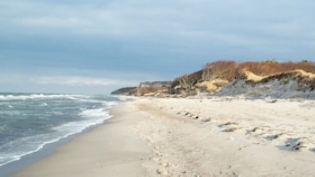 A beach with a sandy shore and waves.