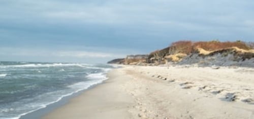 Bernstein FW, 60sqm, with colored clay plaster