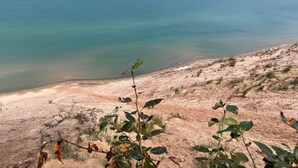 Een kustlandschap met een zandstrand en schaarse begroeiing.