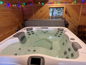 Interior - Private hot tub -2 king beds -near Pictured Rocks! (Christmas)