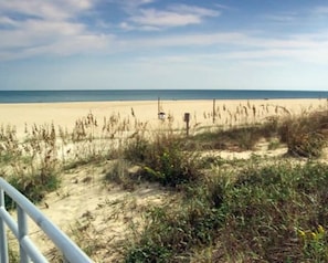 Beach - Ocean Key Resort (Virginia Beach)