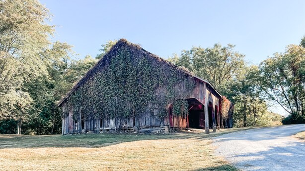 A rustic barn with a thatched roof, surrounded by trees and a gravel path.