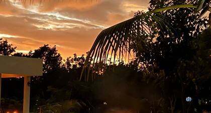 New private botanical villa on gated acre 5mins walk to beach