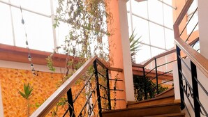 A wooden staircase with black railings, surrounded by potted plants and climbing vines. - Eco Bunnu Inn (Cusco)