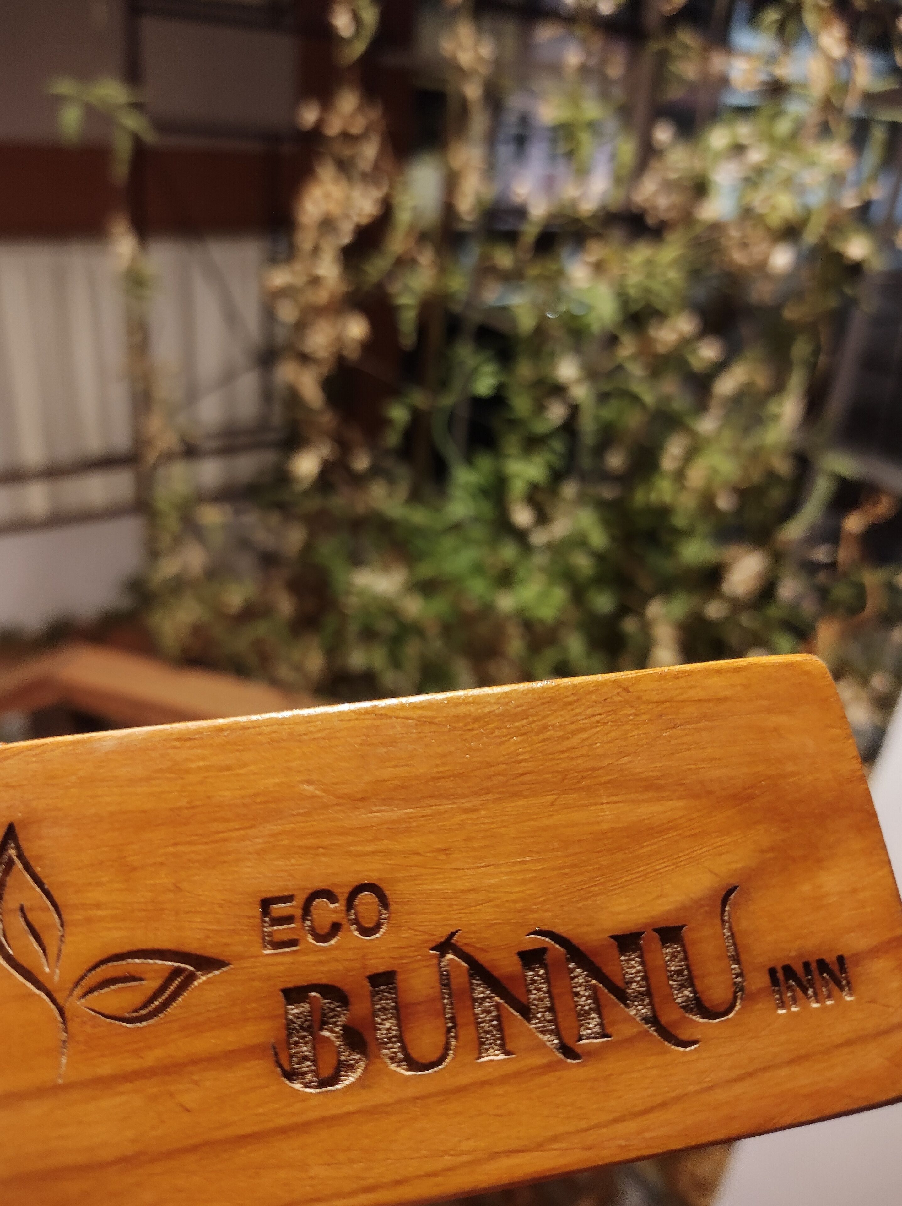 Photo - Eco Bunnu Inn