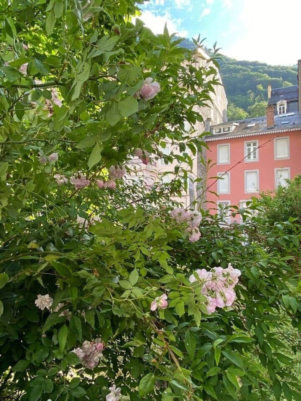 オーナーのプロフィール画像