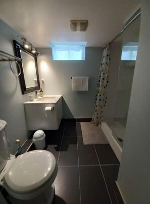Une salle de bain équipée de toilettes, d’un lavabo, d’un miroir et d’une douche.