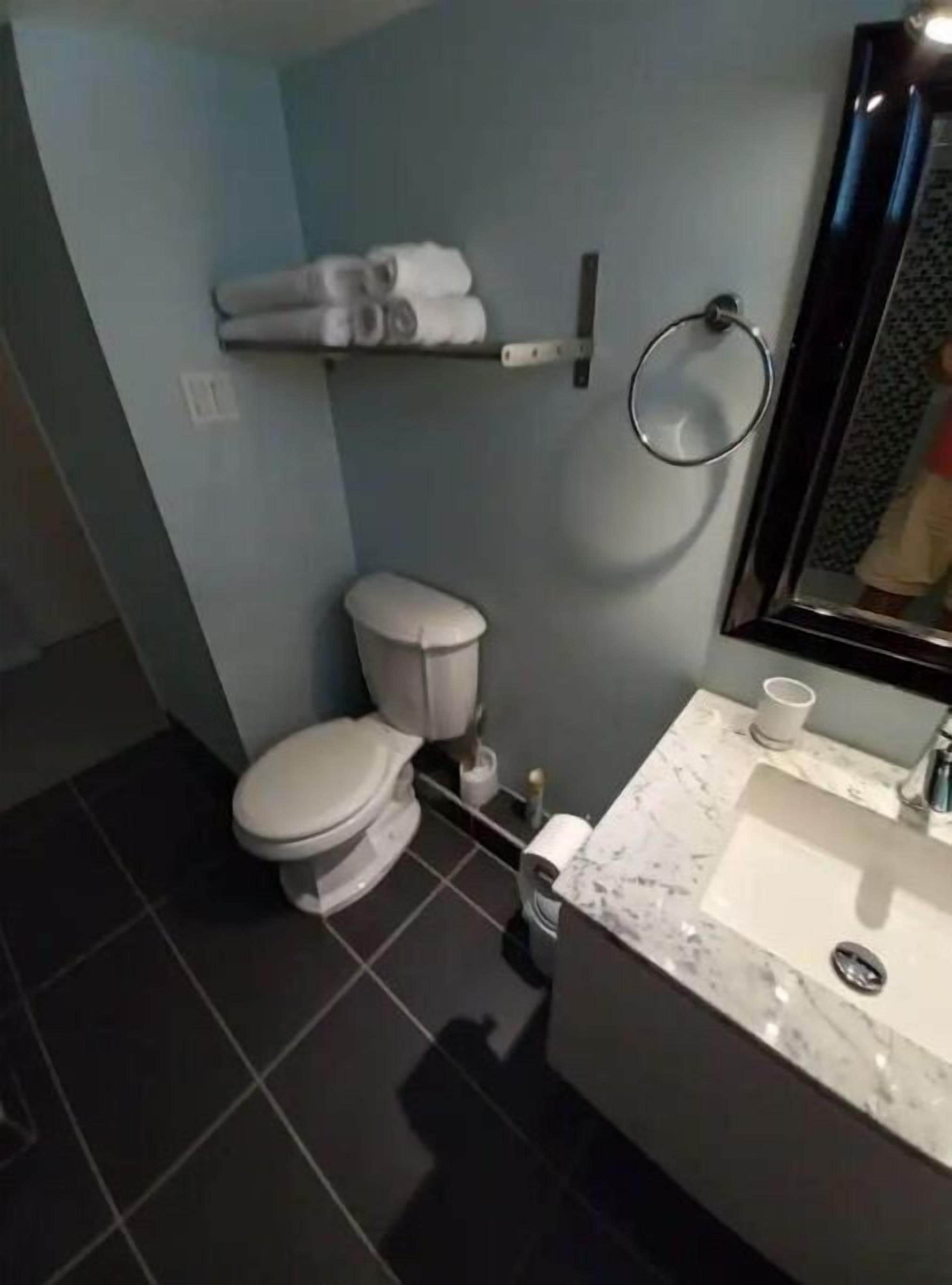 A modern bathroom with a toilet, sink, and mirror.