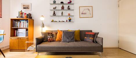 Smart TV, DVD player, books, stereo