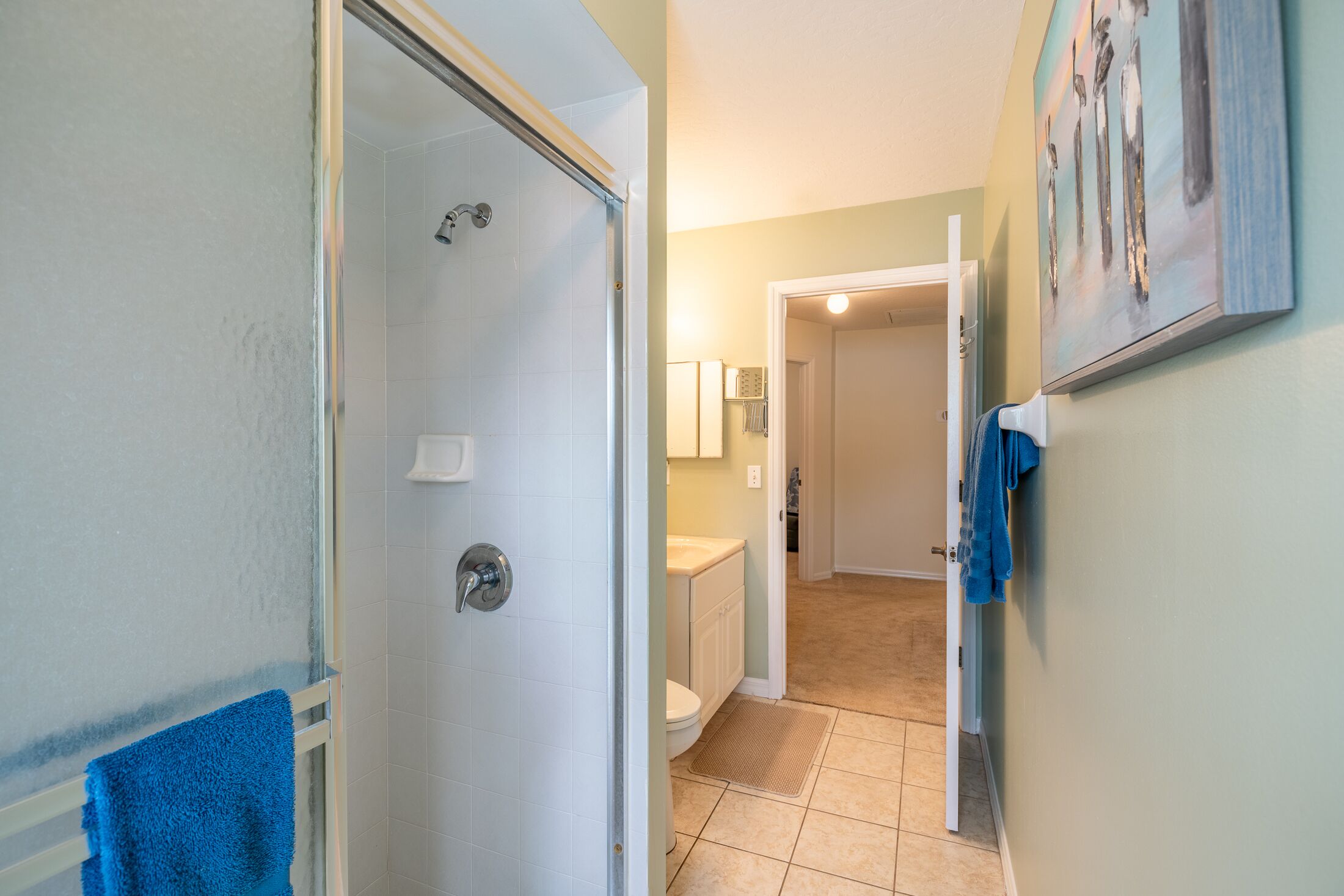 Une salle de bain avec douche, toilettes et lavabo.
